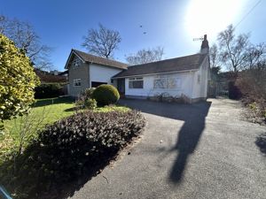 Photo 1- click for photo gallery